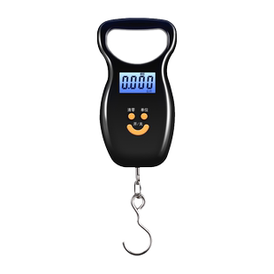 高精度手提电子秤家用小型便携式弹簧秤小称行李挂钩精准挂称鱼器