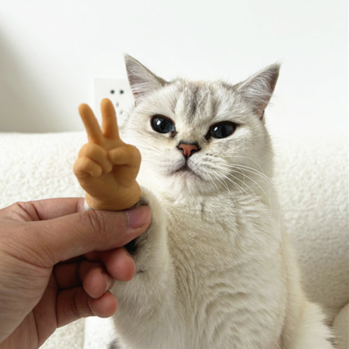 猫爪手套整蛊搞笑可爱逗猫小手弹力撸猫石头剪刀布比耶互动猫玩具