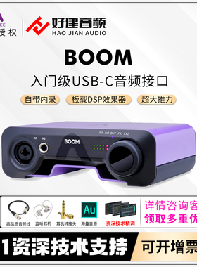 新款现货APOGEE BOOM声卡内置DSP双通道专业录音混音直播音频接口