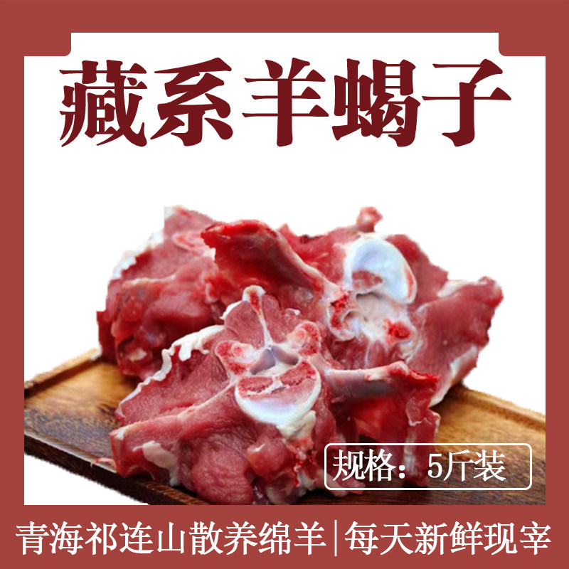 羊蝎子新鲜现宰原切羊脊骨正宗藏脊背/羊蝎子