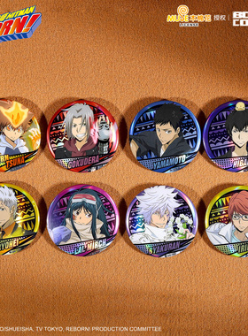 暴蒙正版 家庭教师HITMAN REBORN!未来系列徽章/吧唧 官谷周边