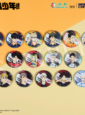 暴蒙正版排球少年S4幻彩拉丝立绘徽章/吧唧日向翔阳官谷周边