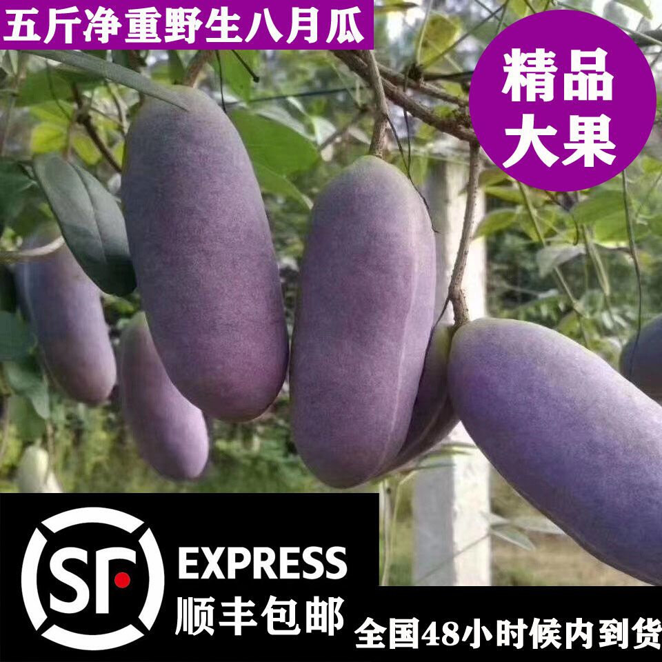 现摘重庆八月瓜5斤新鲜当季时令水果八月炸野香蕉甜香瓜顺丰包邮