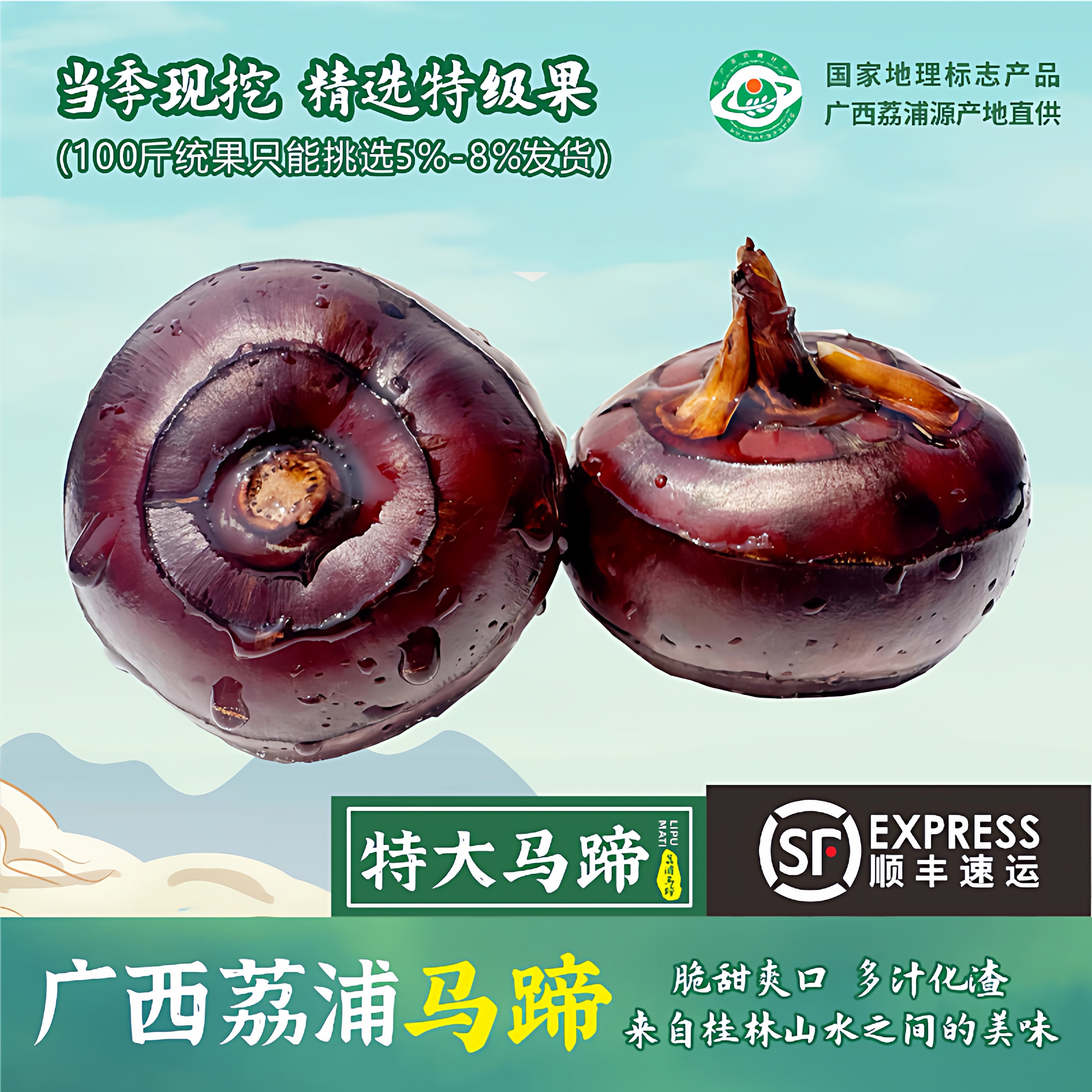 正宗广西荔浦马蹄荸荠新鲜大果特大马蹄果当季水果脆甜多汁发顺丰