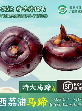 发顺丰荔浦马蹄荸荠新鲜大果脆甜