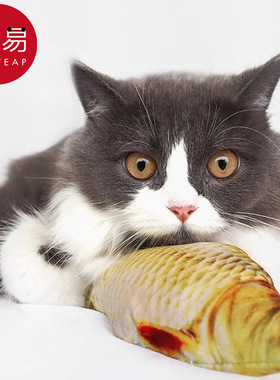 宠物玩具/鱼AA1sq801-仿真鱼解闷耐咬自嗨磨牙抱枕幼猫逗猫