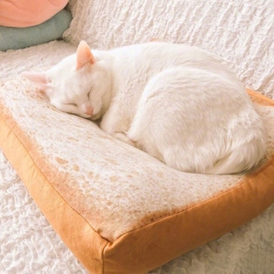 仿真面包坐垫靠垫切片T吐司D抱枕毛绒猫咪专用面包型坐垫子