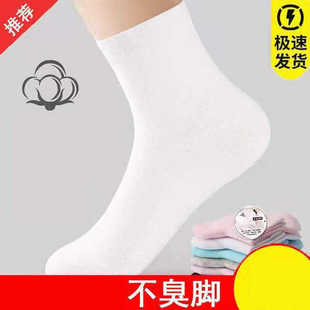 袜子女士短袜夏季纯色纯棉中筒袜全棉网眼透气