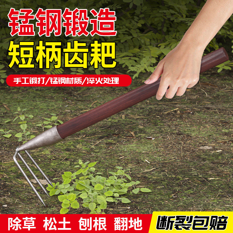 钢耙多齿耙子二齿三齿四齿耙赶海翻地刨红薯花生除草家用抓钩耙子