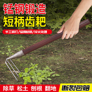 钢耙多齿耙子二齿三齿四齿耙赶海翻地刨红薯花生除草家用抓钩耙子