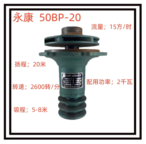 浙江永康50bp-20离心自吸泵
