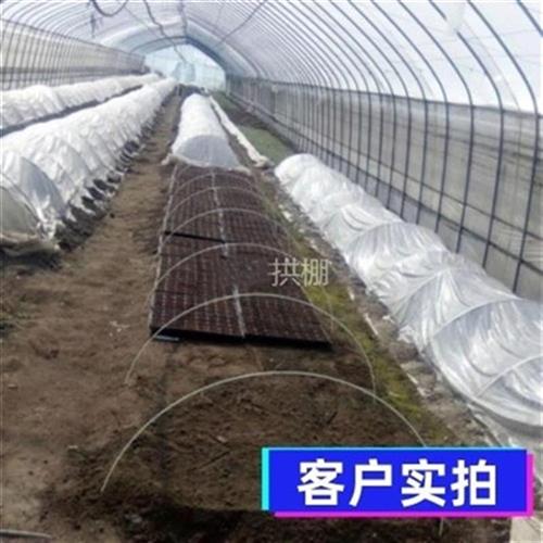 棚支架蔬菜大棚p花棚保9温棚e简易大棚骨架玻璃纤维杆农用