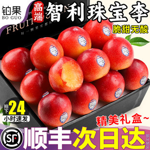 顺丰礼盒5斤 智利珠宝李新鲜水果李子孕妇黑布林李樱桃红整箱包邮