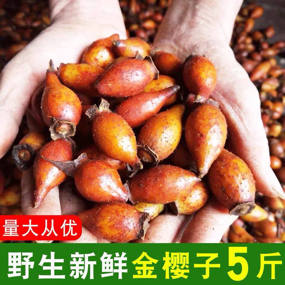 深山采摘野生金樱子泡酒新鲜山石榴中药材糖罐子青果金罂子刺梨果