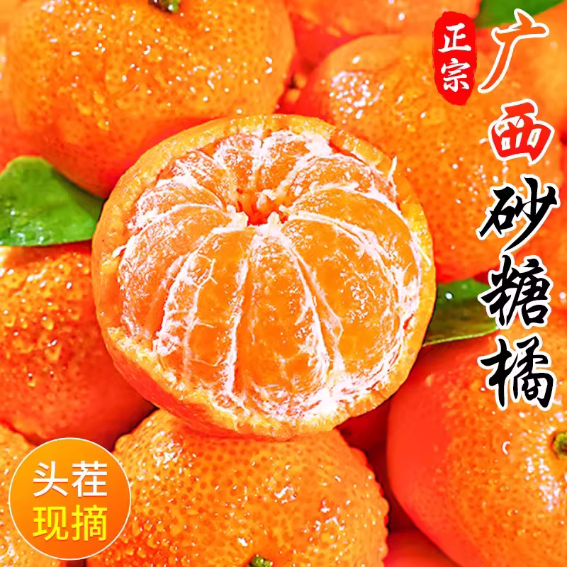 正宗新鲜现摘孕妇无核桔子