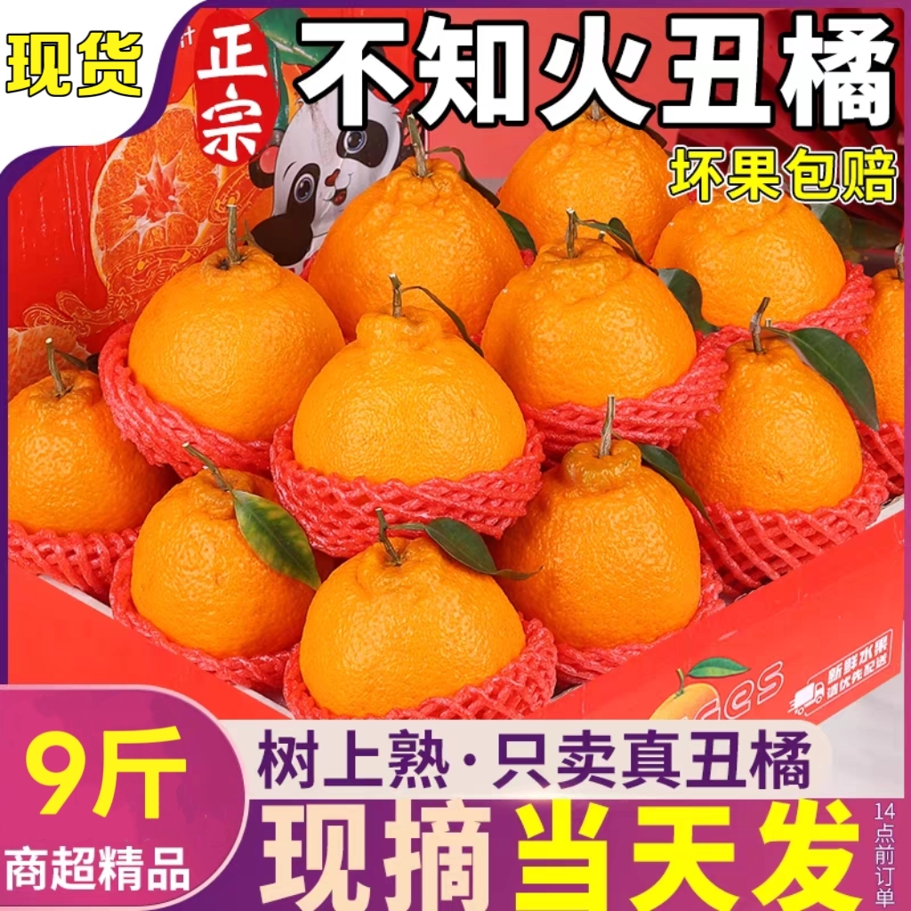 正宗四川不知火丑柑丑橘子四川果冻橙新鲜水果孕妇当季丑柑橘整箱