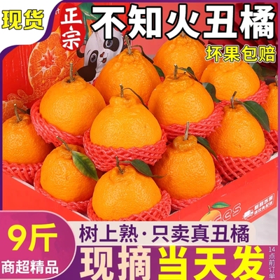 正宗四川不知火丑柑丑橘子四川果冻橙新鲜水果孕妇当季丑柑橘整箱