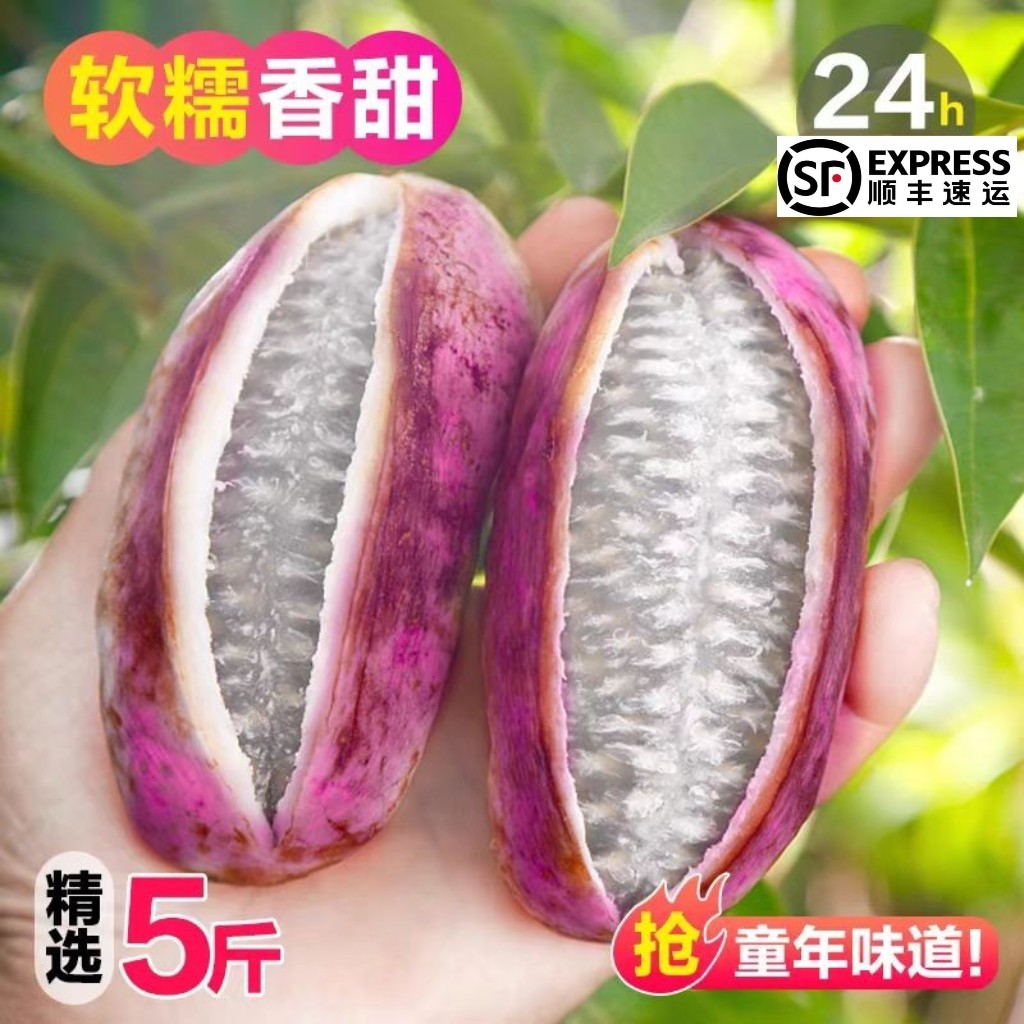 八月瓜水果新鲜8月炸甜瓜5斤当季罕见网红水果牛卵坨预知子包邮
