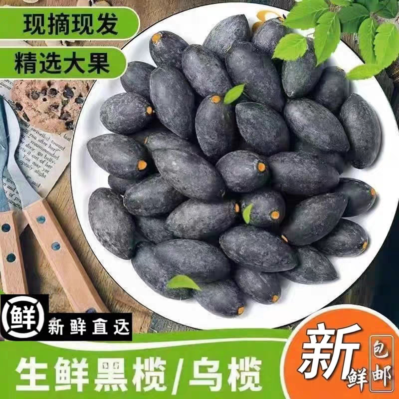 新鲜乌榄增城西山左尾乌榄增城十宝增城新鲜乌榄黑橄榄油榄生榄