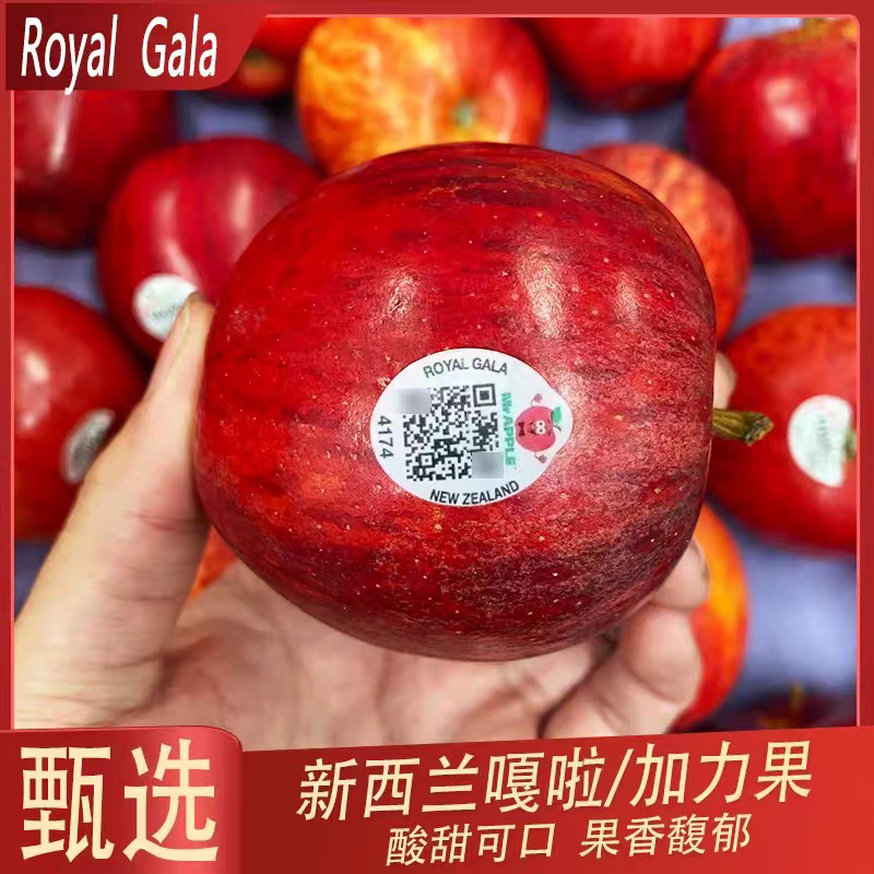 加力果新西兰苹果进口嘎啦果姬娜果新鲜苹果当季孕妇水果12个包邮