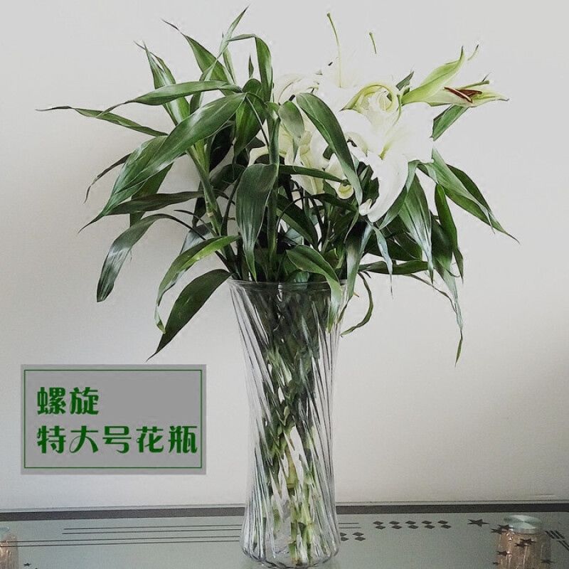 透明水晶玻璃富贵竹花瓶30/35cm特大号客厅摆件水培百合水o竹花瓶