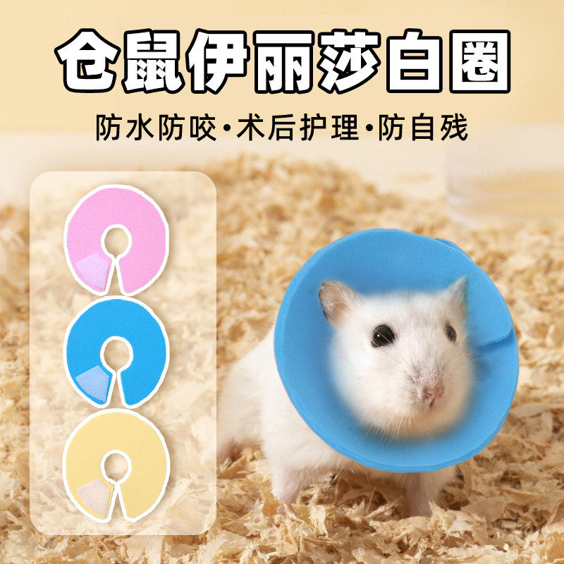 仓鼠伊丽莎白圈防咬防舔