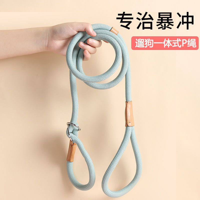 宠物狗狗牵引绳一体式p绳p链狗绳小中大型犬柯基防爆冲遛狗链子粗