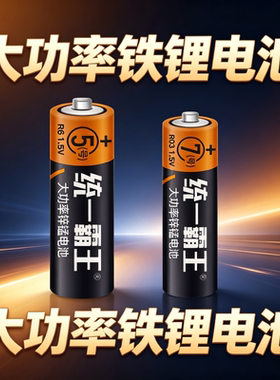 统一霸王大功率铁锂电池