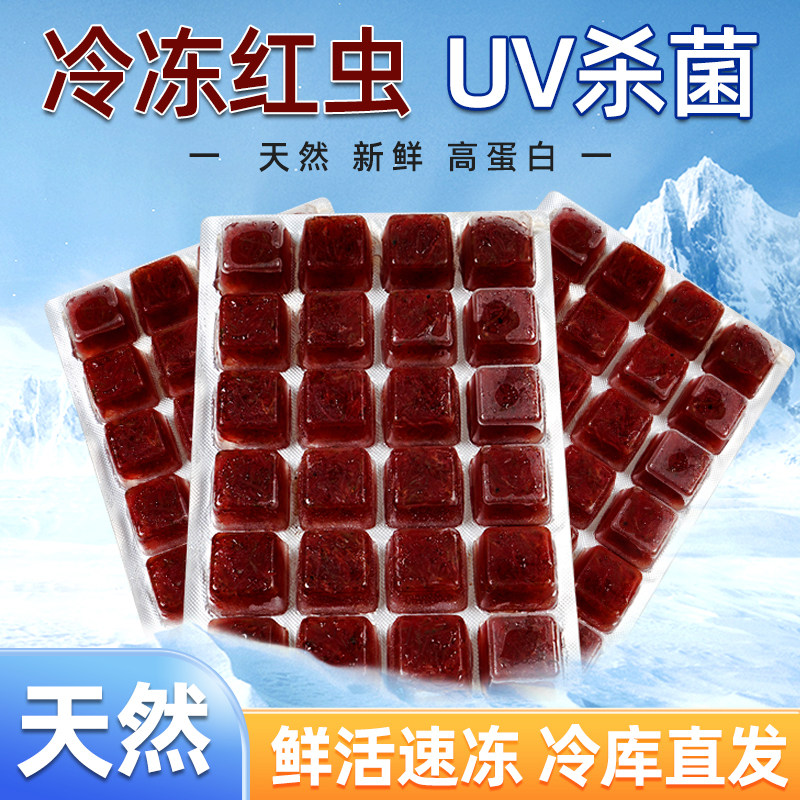 红虫鱼食冰冻六角恐龙鱼饲料蝾螈牛心汉堡七彩神仙鱼冷冻红线虫