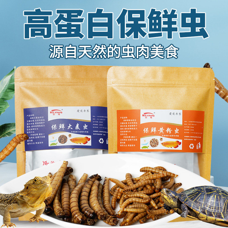 【常温保存】保鲜面包虫大麦虫图片