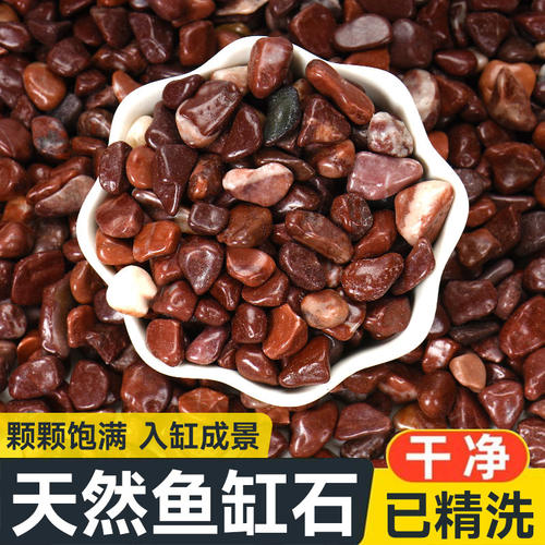 溪流石原生溪流底石造景