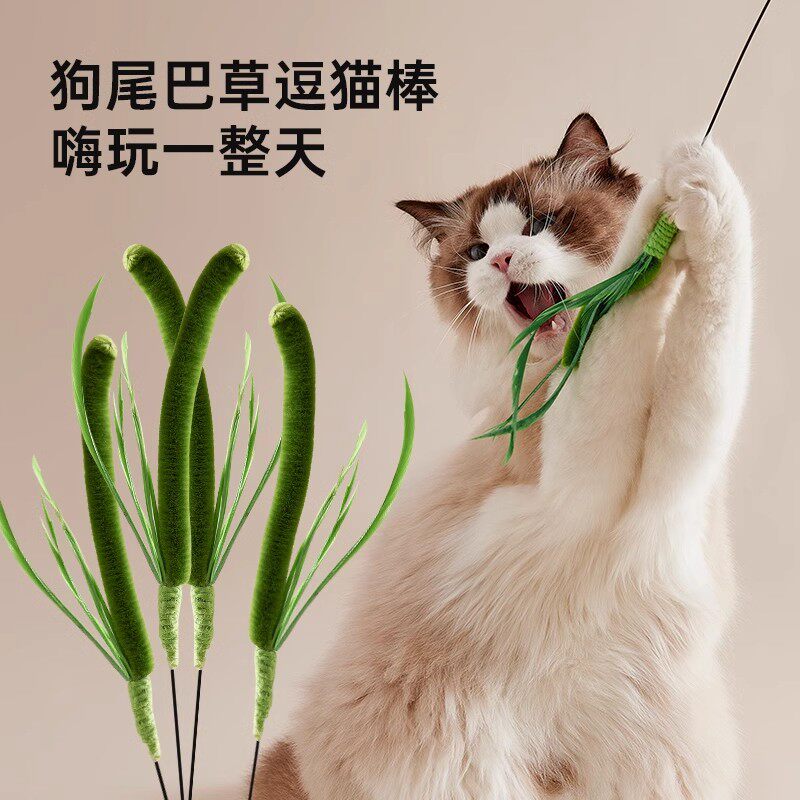 狗尾巴草逗猫棒长杆耐咬猫玩具自嗨解闷手持猫咪玩具小猫逗猫神器