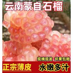 正宗薄皮籽当季现摘云南蒙自石榴硬籽现发水果新鲜甜石榴水晶整箱