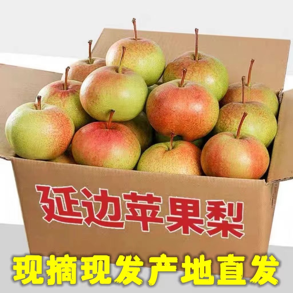 东北延边苹果梨延吉龙井特产霜后新鲜孕妇水果酸甜脆多汁10斤包邮