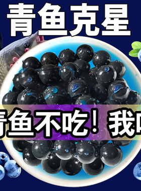青鱼珠珠软饵料钓巨物颗粒野钓黑坑专用钓鱼缓沉浮水大青克星鱼饵