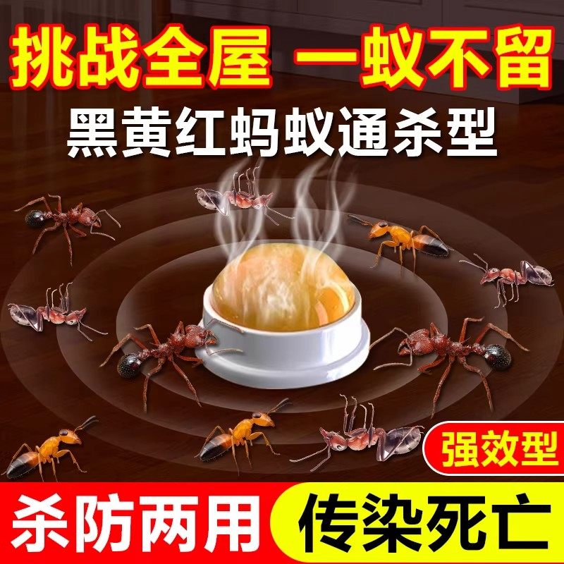 灭蚂蚁药家用全窝端非无毒胶饵专用杀虫剂除杀黑红白蚂蚁一锅端,洗护清洁剂/卫生巾/纸/香薰,杀虫剂（卫生农药）,淘宝优惠券,粉丝福利购,淘宝优惠卷