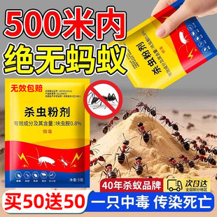 蚂蚁药家用全窝端强效家用微毒专灭小黄蚁红火蚁大黑蚁农用菜地