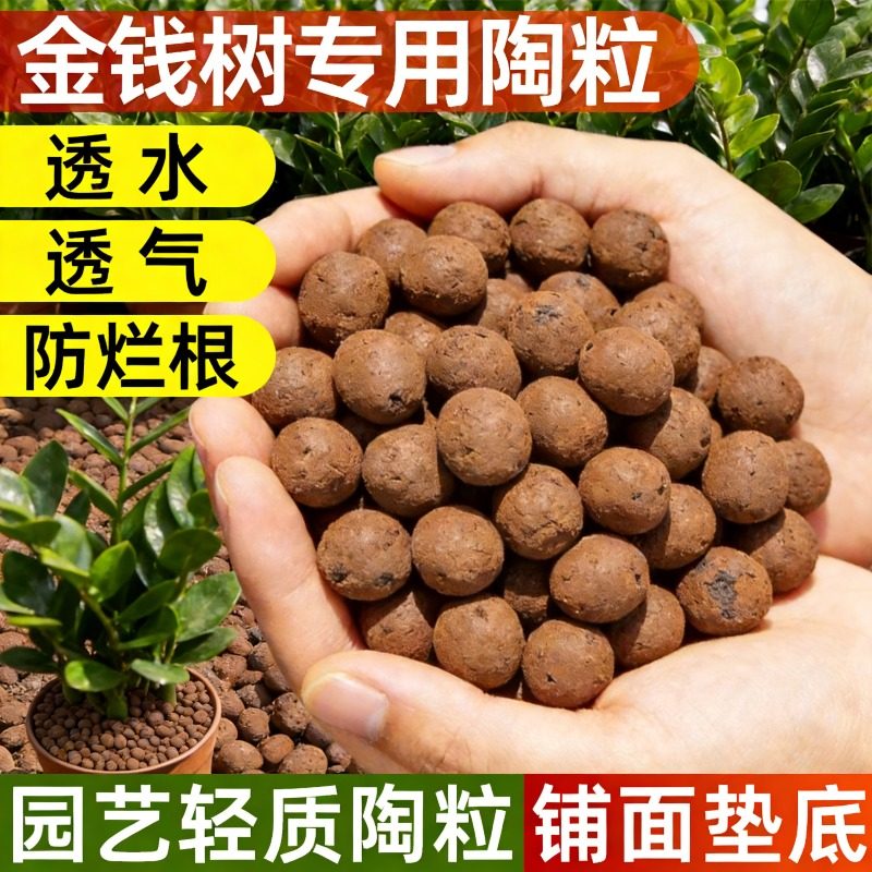 金钱树专用陶粒垫底养花铺面多肉花盆花卉透水透气防烂根轻质陶粒,鲜花速递/花卉仿真/绿植园艺,介质/营养土,淘宝优惠券,粉丝福利购,淘宝优惠卷