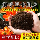 君子兰专用土花土养兰花专用营养土肥料盆栽土通用型肥换盆土疏松