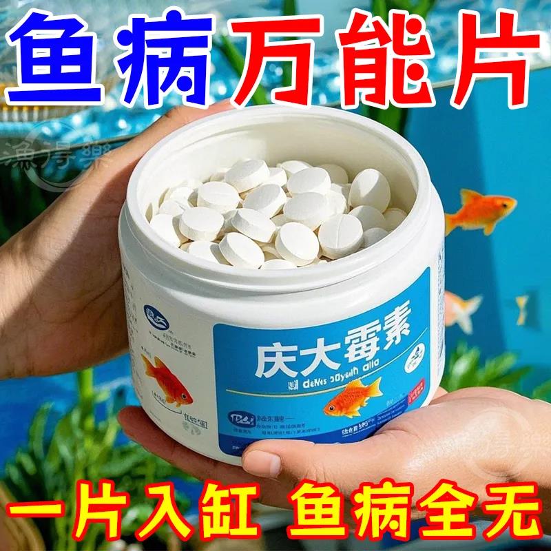 庆大霉素鱼用金锦鲤消毒烂