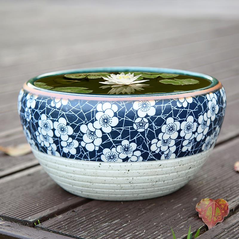 景德镇陶瓷花盆碗莲睡荷绿