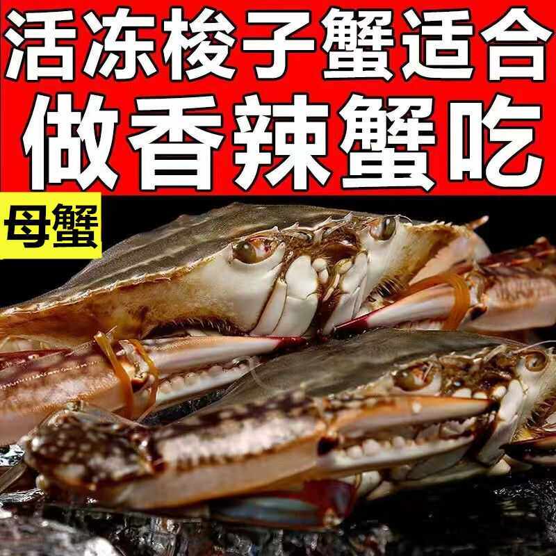 梭子蟹鲜活冷冻海螃蟹特大母梭