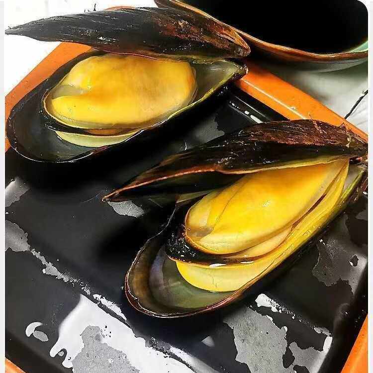 整箱青口贝水产3斤6斤大号鲜活贝