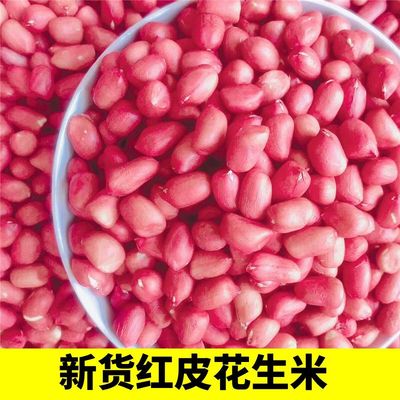 24年山东新红皮花生米正宗新鲜花生仁农家当季四粒红衣去壳特级