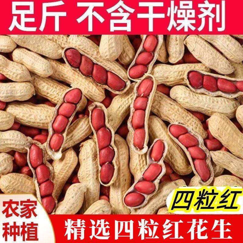 农家自种生花生带壳晒干红皮花生东北四粒红生花生原味带皮生花生
