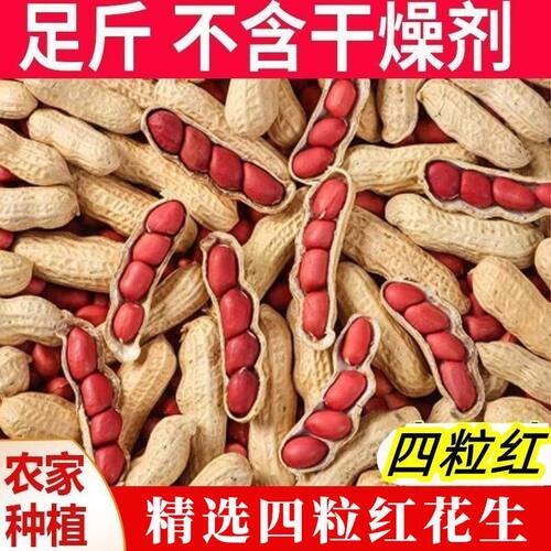 农家自种生花生带壳晒干红皮花生东北四粒红生花生原味带皮生花生