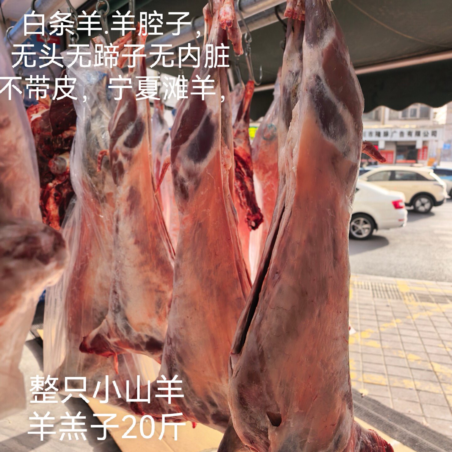 整只小山羊肉羊羔子20斤宁夏滩羊肉白条羊无头内脏不带皮新鲜现杀