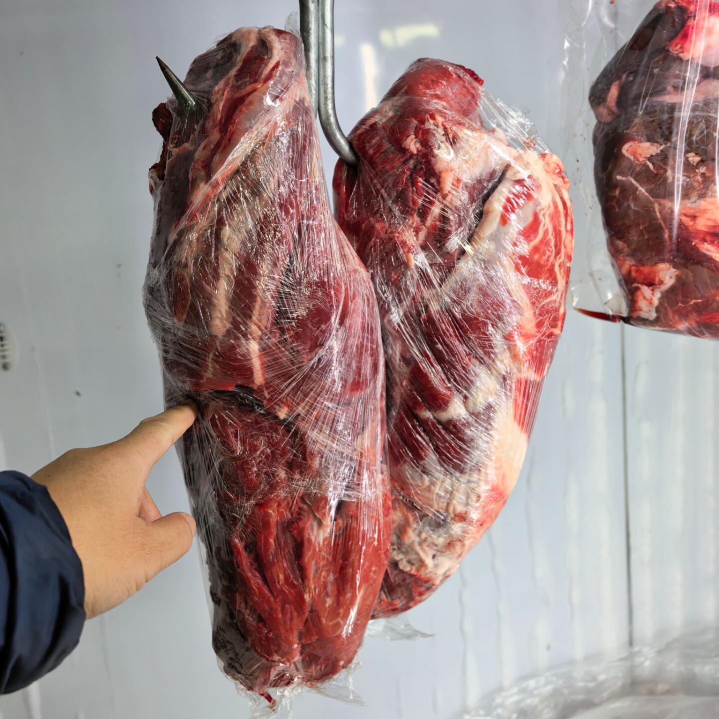 新鲜现杀泾源黄牛肉上脑5斤草饲散养宁夏特产清真六盘山地理标志