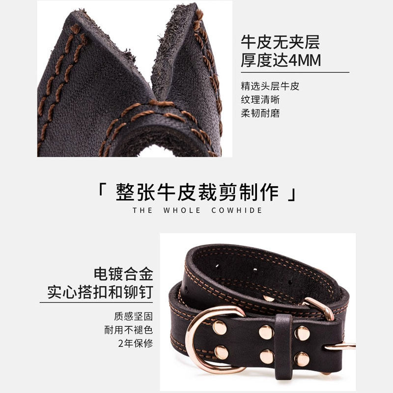 牛皮狗狗项圈中大型犬拉