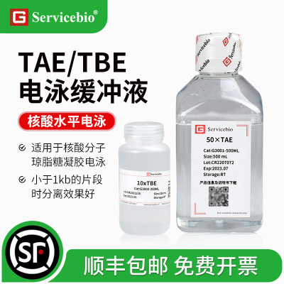 赛维尔电泳缓冲液TAE核酸